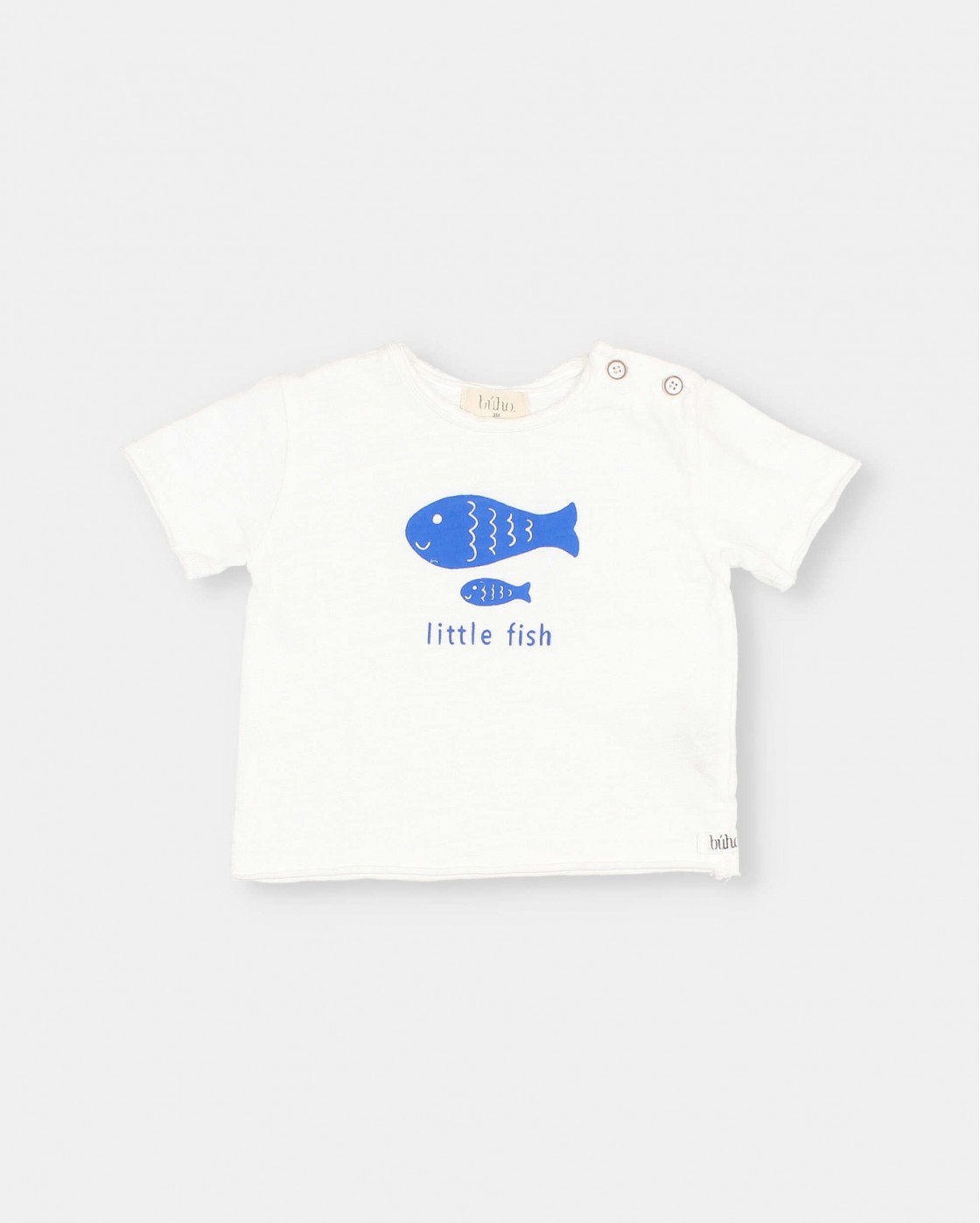 BB CAMISETA LITTLE FISH