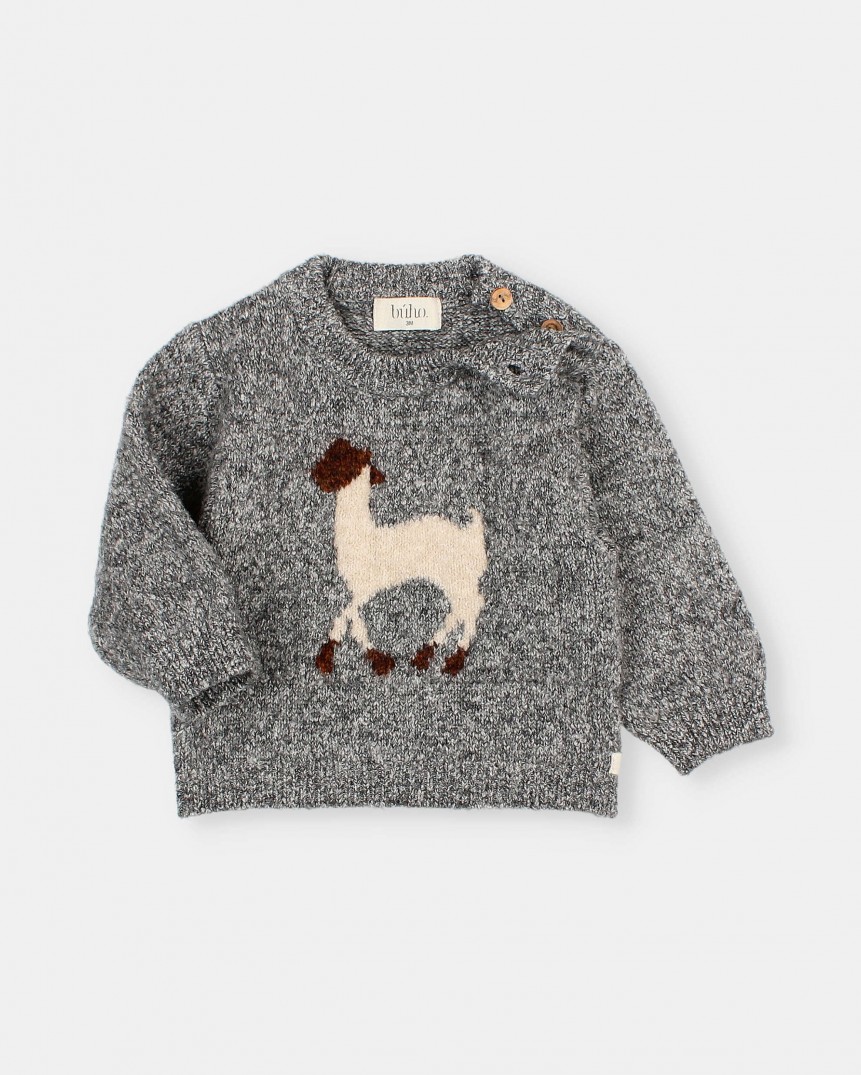 BB LLAMA JUMPER 2