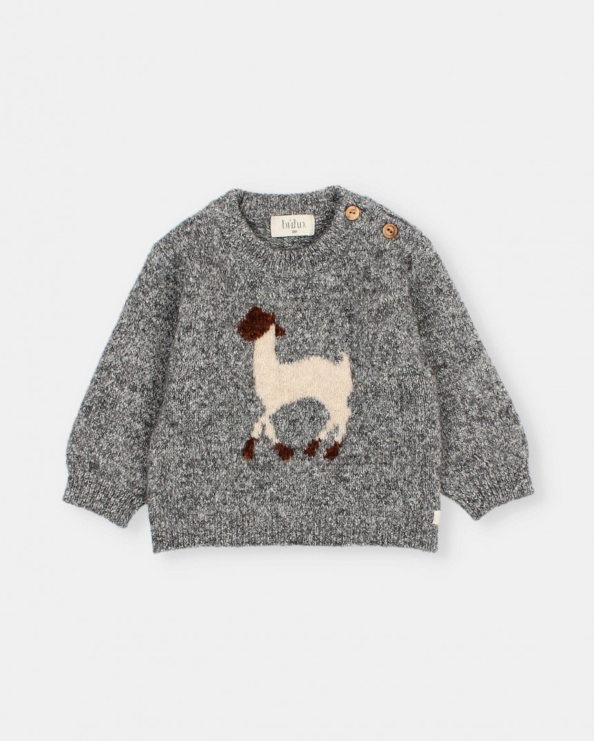 BB LLAMA JUMPER