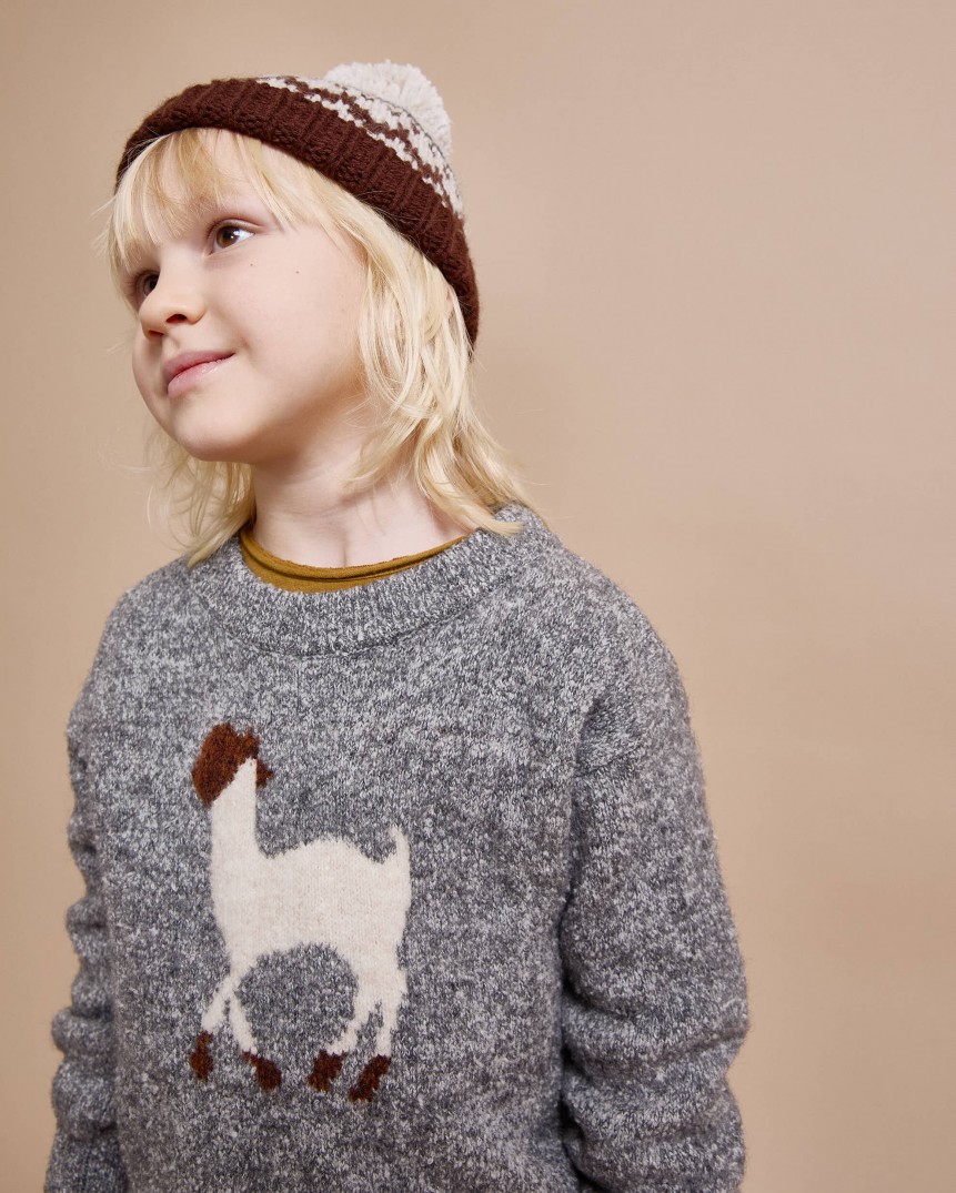 LLAMA JUMPER 2