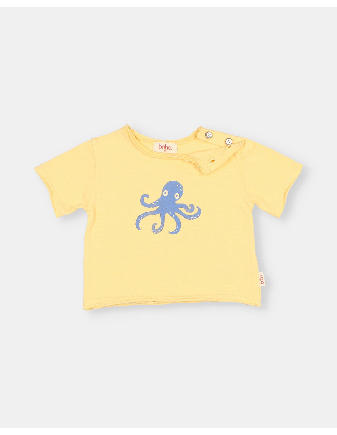 BB CAMISETA OCTOPUS