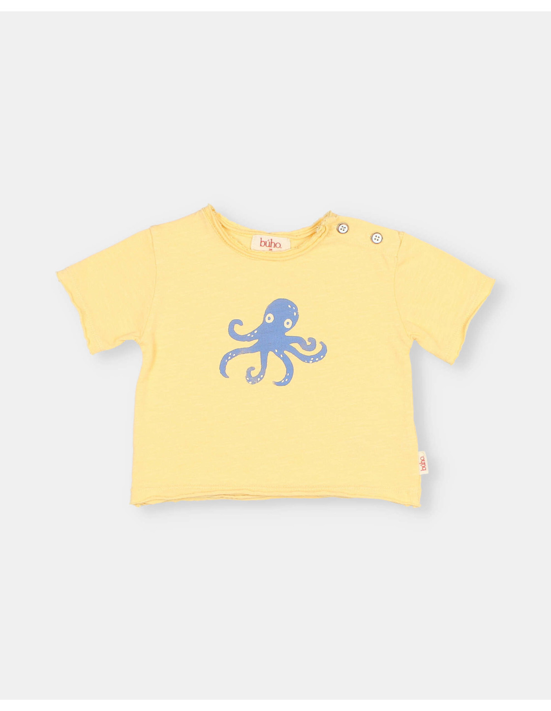 BB CAMISETA OCTOPUS