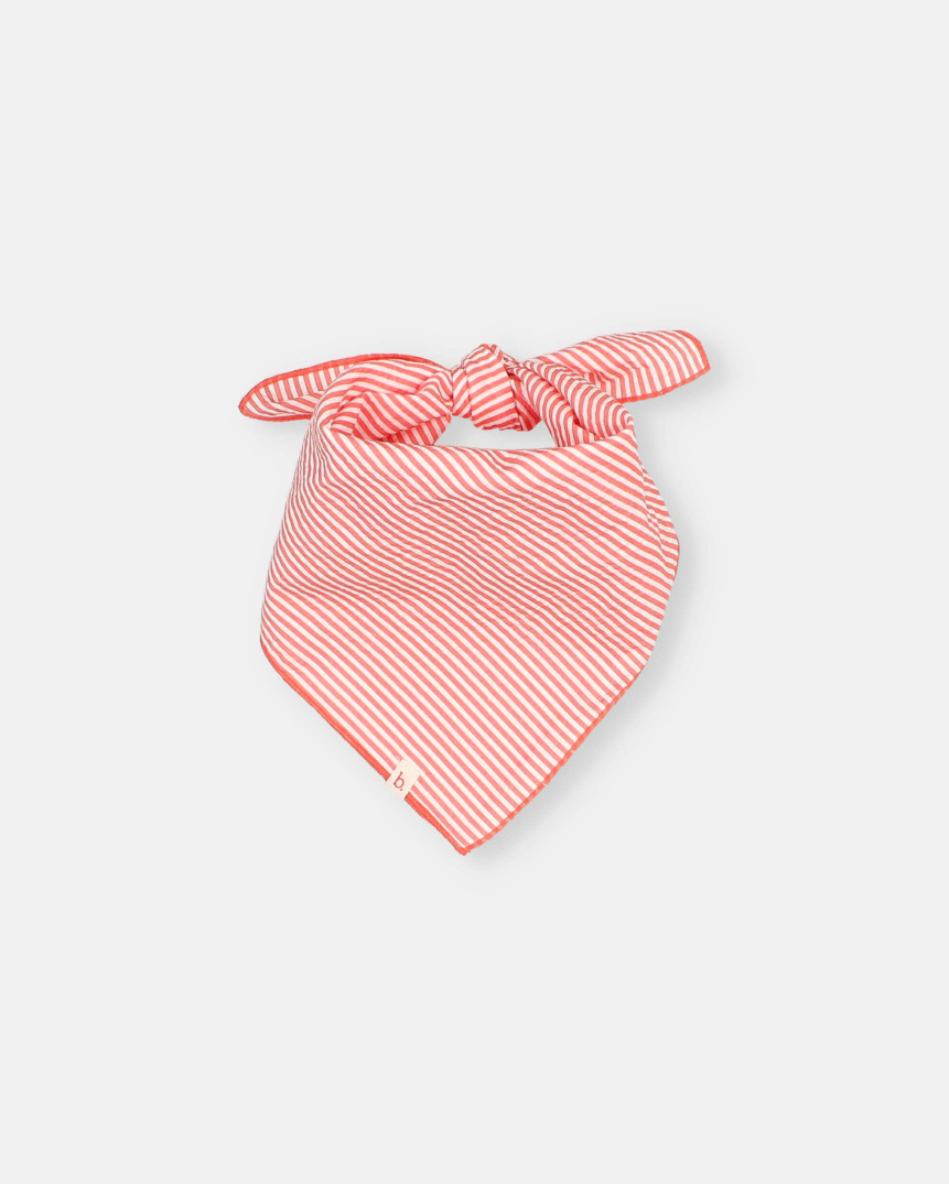 BANDANA DE RAYAS 2