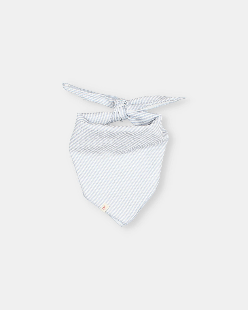 BANDANA DE RAYAS