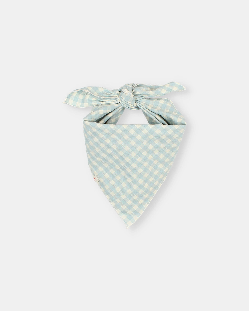 BANDANA GINGHAM 2